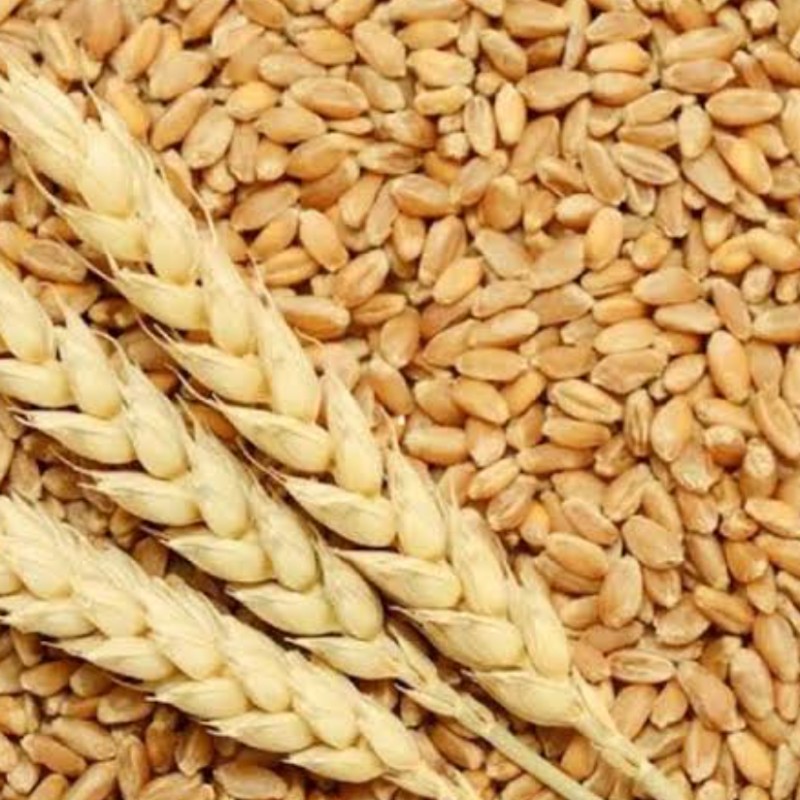 Grains and Lentils